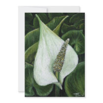 calla palustris custom invite