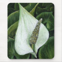 calla palustris mouse pad