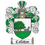CALLAHAN FAMILY CREST -  CALLAHAN COAT OF ARMS t-shirts