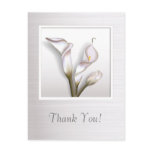 Callas In Frame postcards
