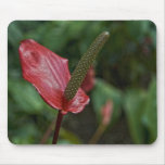 Callaway Flowers Mousepad