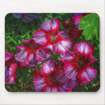 Callaway Flowers Mousepads