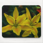 Callaway Flowers Mousepad