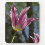 Callaway Tulip Mousepad