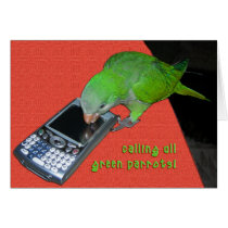 Calling All Green Parrot Greeting Cards