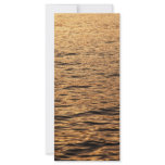 Calm sea at sunset rack cards