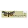 Calocampa vetusta bumper stickers