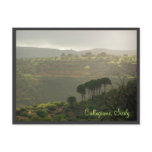 Caltagirone. Sicily postcards