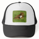 Calves 9B48D-11 hats