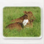 Calves 9B48D-11 mousepads