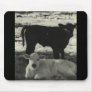 calvies mouse pads
