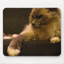 Calvin Mouse Pads