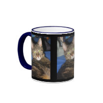 Calypso Kitty Sass Mug