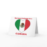 Camara cards
