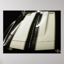 Camaro Stripes Print
