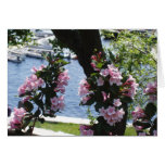 Camden Maine cards