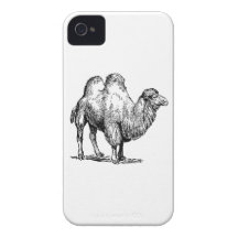 Camel 2 iPhone 4 cases