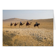 camel caravan cards