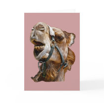 Camel Greeting Cards