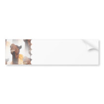 Camel Collage  Bumper Stickers