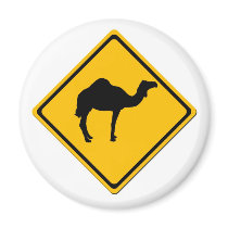 Camel Crossing Magnet