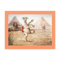 Camel Dance Postcard