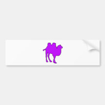 Camel Desert Horse Hump Mammal Bumper Sticker