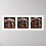 Camel Faces posters