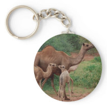 Camel Family Keychains