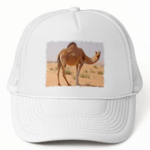 Camel for Arabs Baseball Hat