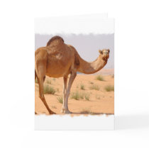 Camel for Arabs Greeting Card
