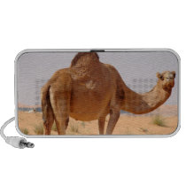 Camel for Arabs Speakers