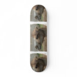 Camel Head  Skateboard