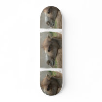 Camel Head  Skateboard