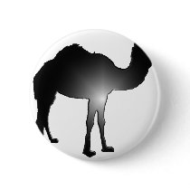 Camel illusion
