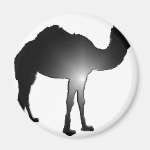 Camel illusion fridge magnets