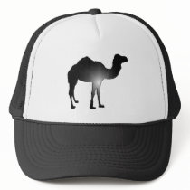 Camel illusion