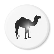 Camel illusion