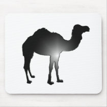 Camel illusion