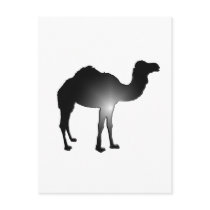 Camel illusion