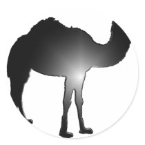 Camel illusion