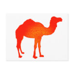 Camel in Red