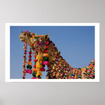 Camel in The  Desert