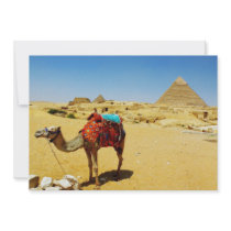 Camel