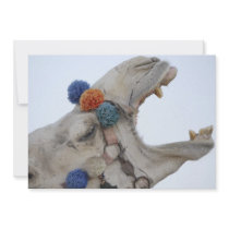 Camel Personalized Invite