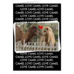 Camel LOVE - NO BOUNDARIES Greeting Cards