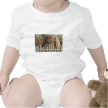 Camel LOVE - NO BOUNDARIES Tee Shirts