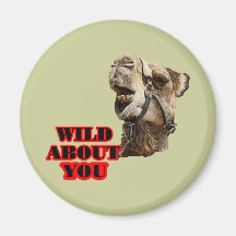 Camel Lover Fridge Magnet