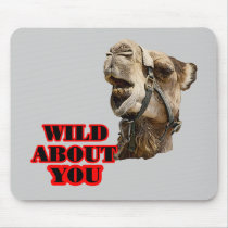 Camel Lover