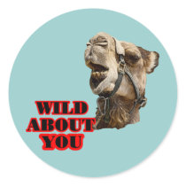 Camel Lover